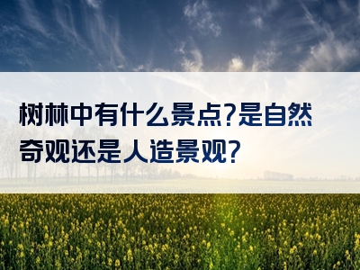 树林中有什么景点？是自然奇观还是人造景观？