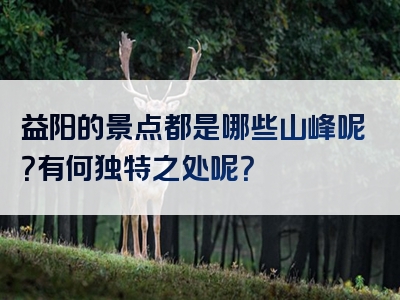 益阳的景点都是哪些山峰呢？有何独特之处呢？