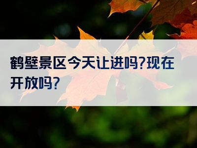 鹤壁景区今天让进吗？现在开放吗？