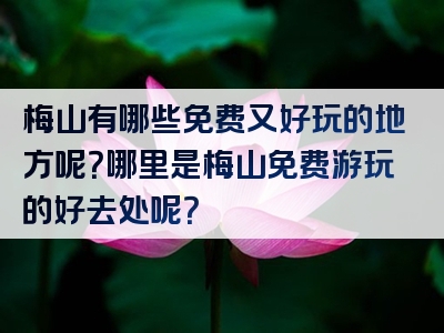 梅山有哪些免费又好玩的地方呢？哪里是梅山免费游玩的好去处呢？