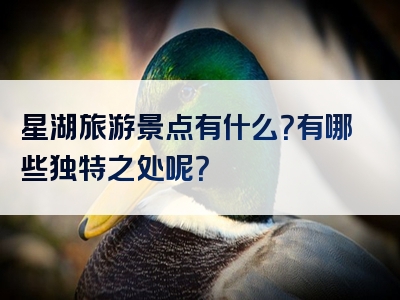 星湖旅游景点有什么？有哪些独特之处呢？