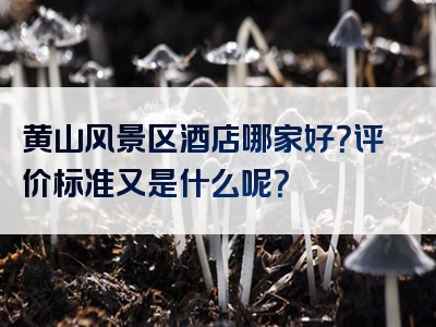 黄山风景区酒店哪家好？评价标准又是什么呢？