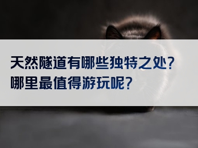 天然隧道有哪些独特之处？哪里最值得游玩呢？