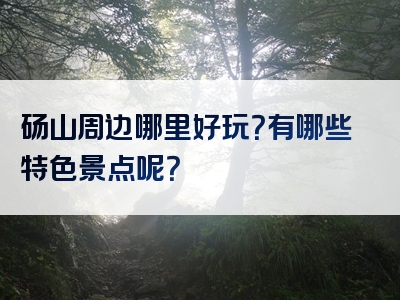 砀山周边哪里好玩？有哪些特色景点呢？