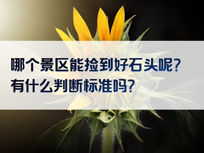 哪个景区能捡到好石头呢？有什么判断标准吗？