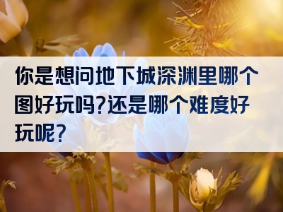 你是想问地下城深渊里哪个图好玩吗？还是哪个难度好玩呢？