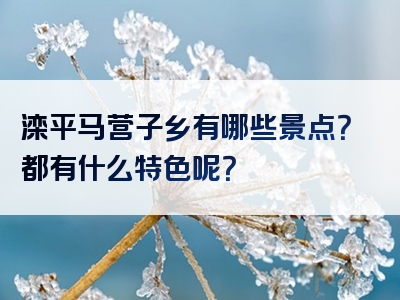 滦平马营子乡有哪些景点？都有什么特色呢？