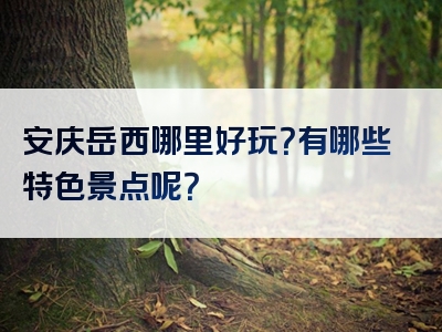 安庆岳西哪里好玩？有哪些特色景点呢？