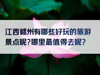 江西赣州有哪些好玩的旅游景点呢？哪里最值得去呢？