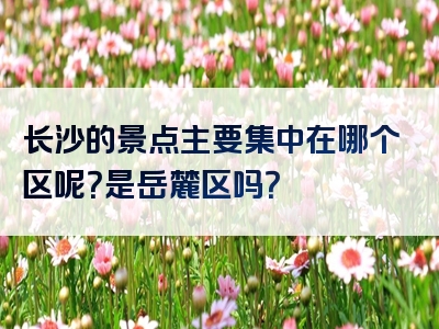 长沙的景点主要集中在哪个区呢？是岳麓区吗？