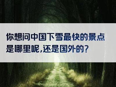 你想问中国下雪最快的景点是哪里呢，还是国外的？