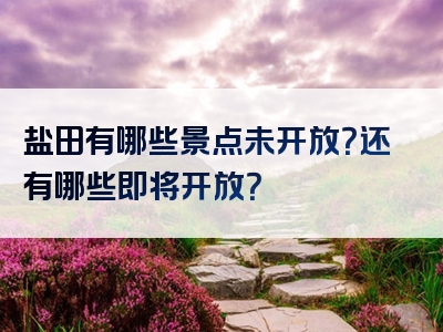 盐田有哪些景点未开放？还有哪些即将开放？