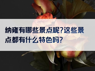 纳雍有哪些景点呢？这些景点都有什么特色吗？