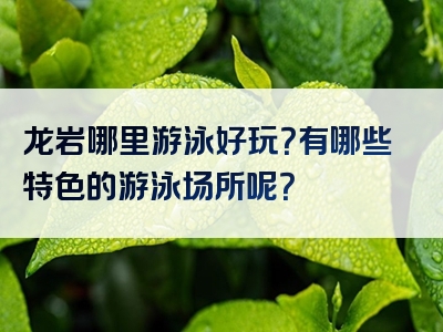 龙岩哪里游泳好玩？有哪些特色的游泳场所呢？