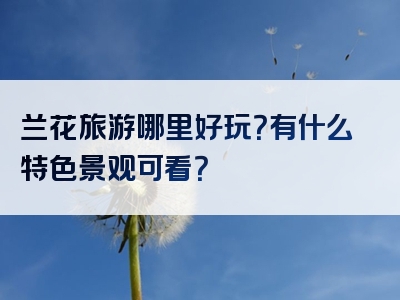 兰花旅游哪里好玩？有什么特色景观可看？