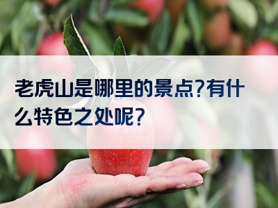 老虎山是哪里的景点？有什么特色之处呢？