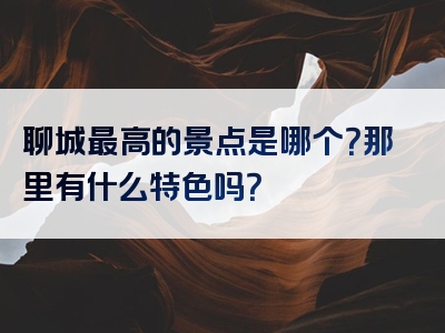 聊城最高的景点是哪个？那里有什么特色吗？