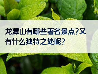 龙潭山有哪些著名景点？又有什么独特之处呢？