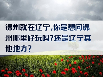 锦州就在辽宁，你是想问锦州哪里好玩吗？还是辽宁其他地方？