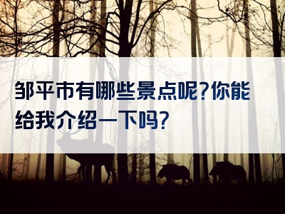 邹平市有哪些景点呢？你能给我介绍一下吗？