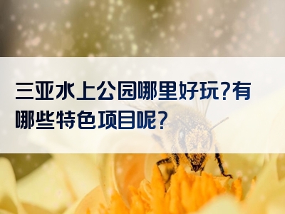 三亚水上公园哪里好玩？有哪些特色项目呢？