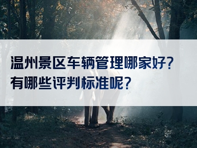 温州景区车辆管理哪家好？有哪些评判标准呢？