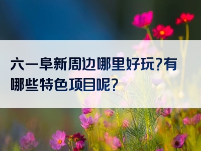 六一阜新周边哪里好玩？有哪些特色项目呢？