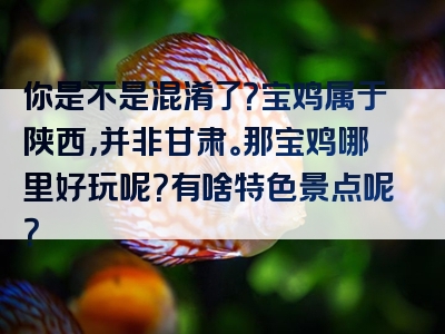 你是不是混淆了？宝鸡属于陕西，并非甘肃。那宝鸡哪里好玩呢？有啥特色景点呢？