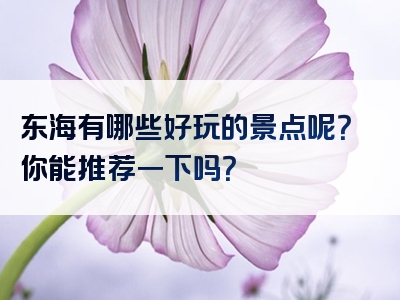 东海有哪些好玩的景点呢？你能推荐一下吗？