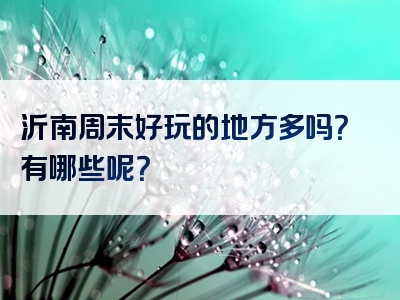 沂南周末好玩的地方多吗？有哪些呢？