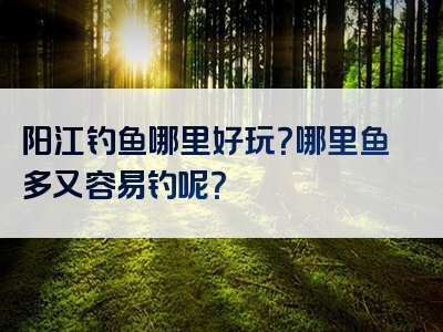 阳江钓鱼哪里好玩？哪里鱼多又容易钓呢？