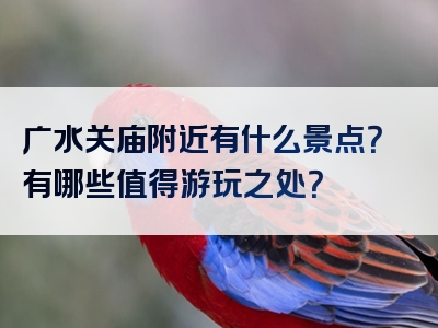 广水关庙附近有什么景点？有哪些值得游玩之处？
