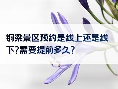 铜梁景区预约是线上还是线下？需要提前多久？