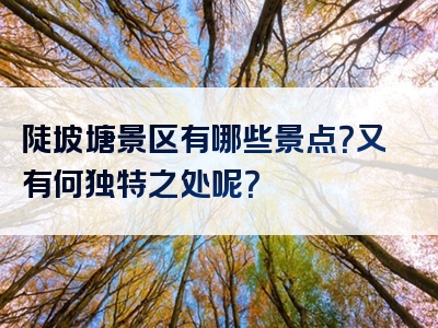 陡坡塘景区有哪些景点？又有何独特之处呢？