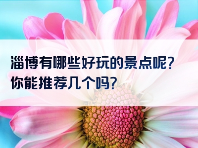 淄博有哪些好玩的景点呢？你能推荐几个吗？