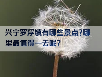 兴宁罗浮镇有哪些景点？哪里最值得一去呢？