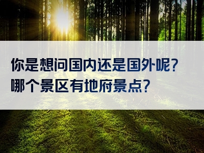 你是想问国内还是国外呢？哪个景区有地府景点？