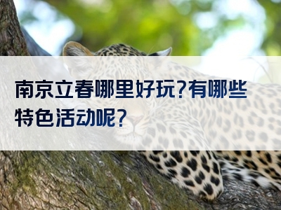 南京立春哪里好玩？有哪些特色活动呢？