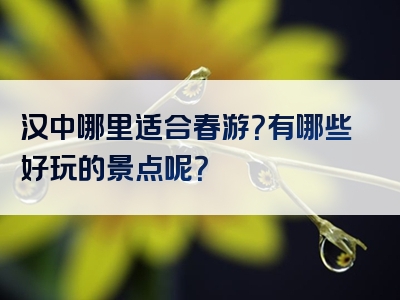 汉中哪里适合春游？有哪些好玩的景点呢？