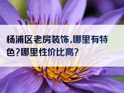 杨浦区老房装饰，哪里有特色？哪里性价比高？