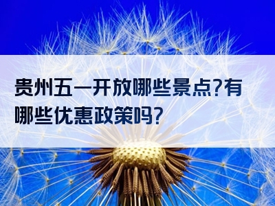 贵州五一开放哪些景点？有哪些优惠政策吗？