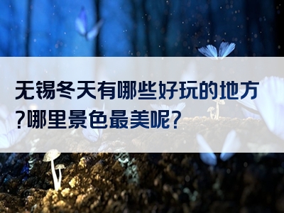 无锡冬天有哪些好玩的地方？哪里景色最美呢？