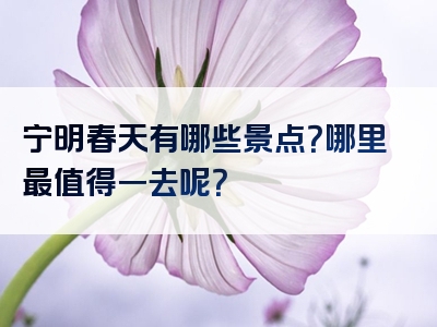 宁明春天有哪些景点？哪里最值得一去呢？