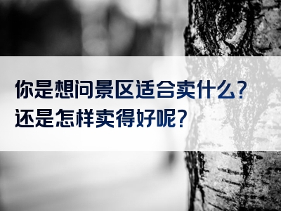 你是想问景区适合卖什么？还是怎样卖得好呢？