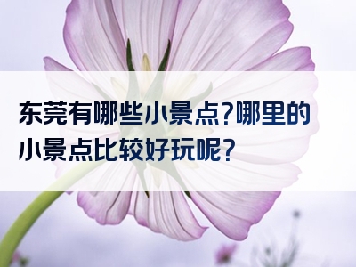 东莞有哪些小景点？哪里的小景点比较好玩呢？