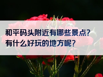 和平码头附近有哪些景点？有什么好玩的地方呢？