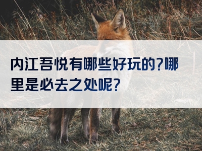 内江吾悦有哪些好玩的？哪里是必去之处呢？