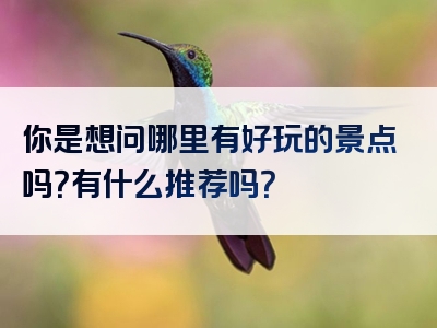 你是想问哪里有好玩的景点吗？有什么推荐吗？