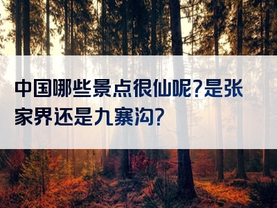 中国哪些景点很仙呢？是张家界还是九寨沟？