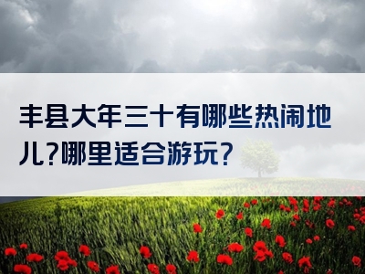 丰县大年三十有哪些热闹地儿？哪里适合游玩？